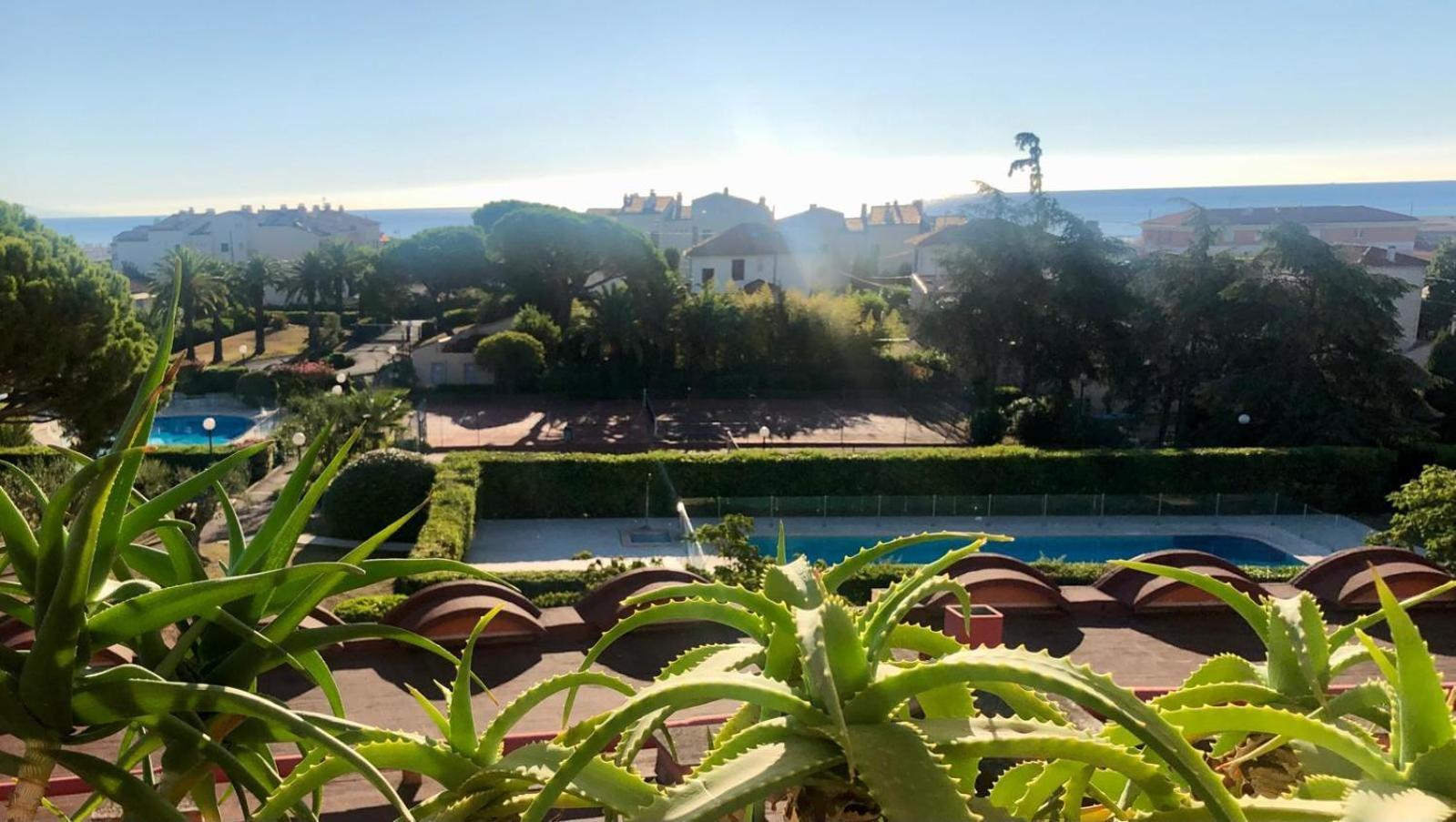 Antibes Secured Parc Velusine With Private Parking, Terrace, Pools And Tennis Courts. Extérieur photo